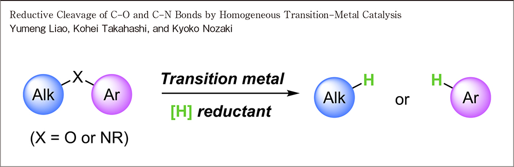 Reductive Cleavage of C-O and C-N Bonds by Homogeneous Transition-Metal Catalysis